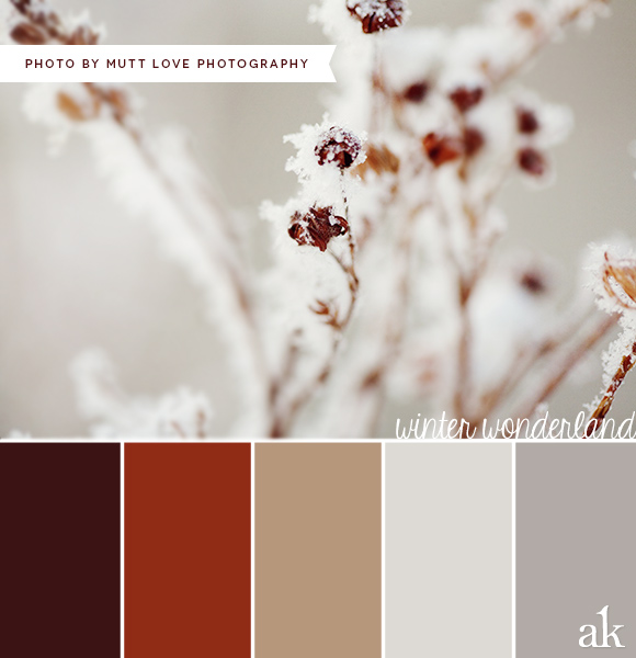 a winter-inspired color palette // brown, tan, gray, white // photo by Mutt Love Photography