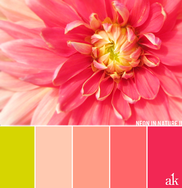 a dahlia-inspired color palette // chartreuse, peach, coral, neon pink