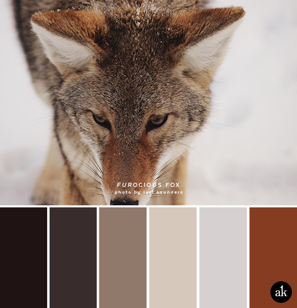 a fox-inspired color palette // dark brown, faded black, coyote tan, light tan, snow gray, fox red