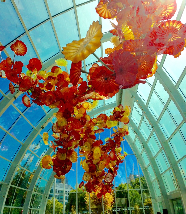 Chihuly Garden And Glass Rain Or Shine Guides