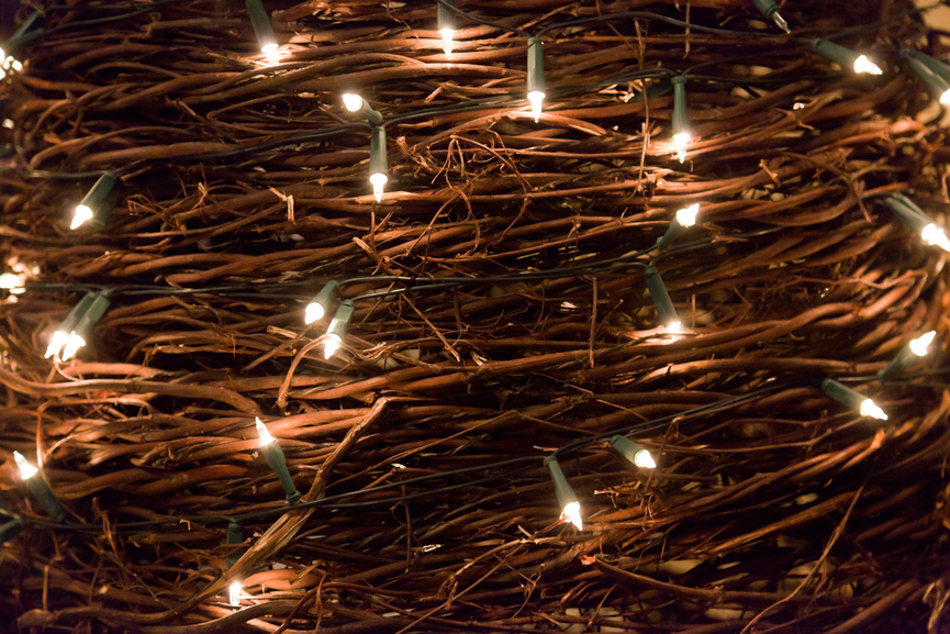 Christmas lights in woven wooden branches.
