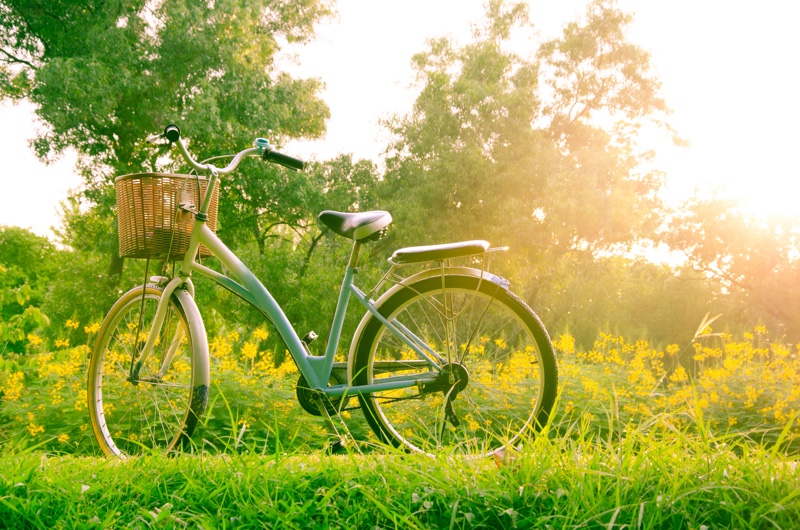 beautiful landscape with Bicycle at park