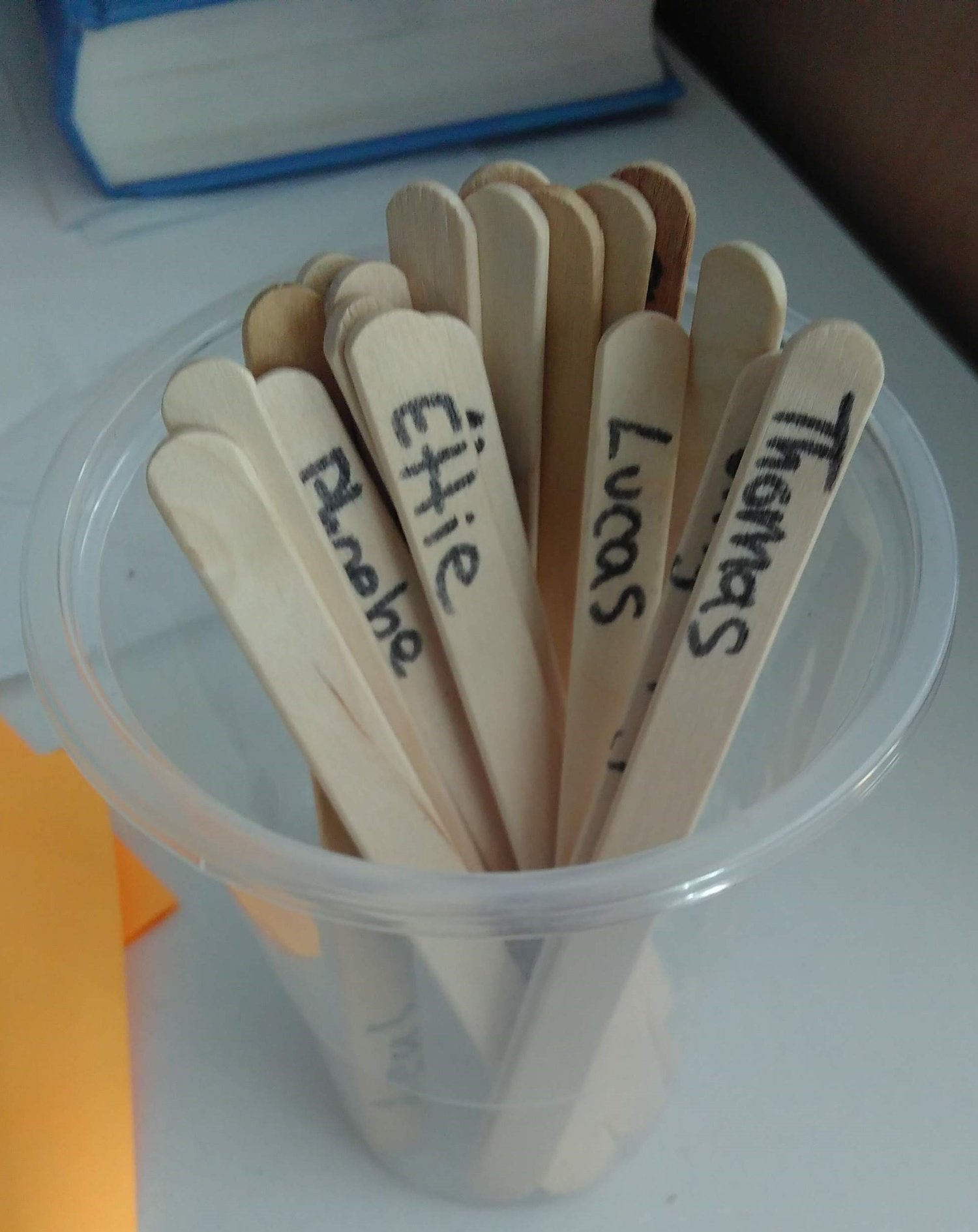 Tips for using lolly sticks - Topsy Page