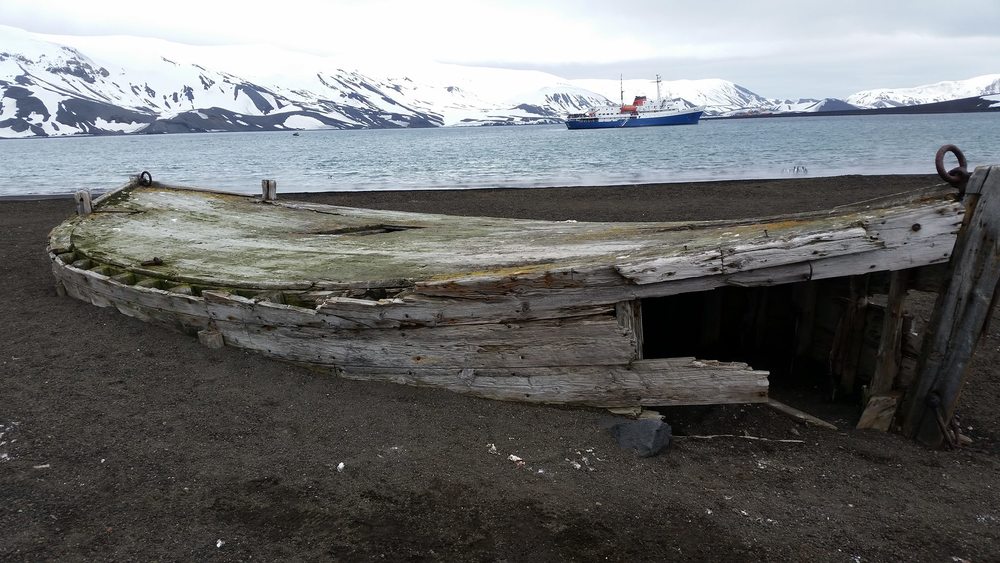 Taken on Deception Island, which is also known as the whales graveyard. This island is really interesting because it has an active underwater volcano.