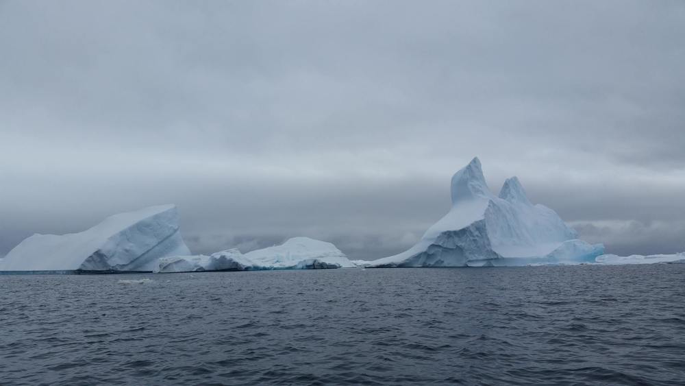 Iceberg graveyard.