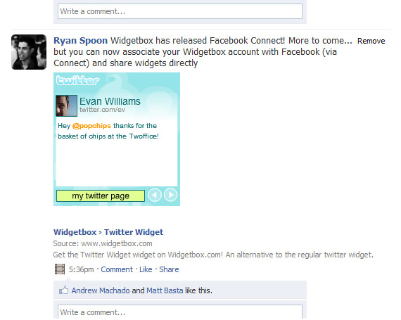facebook-connect-widget-in-the-feed-play