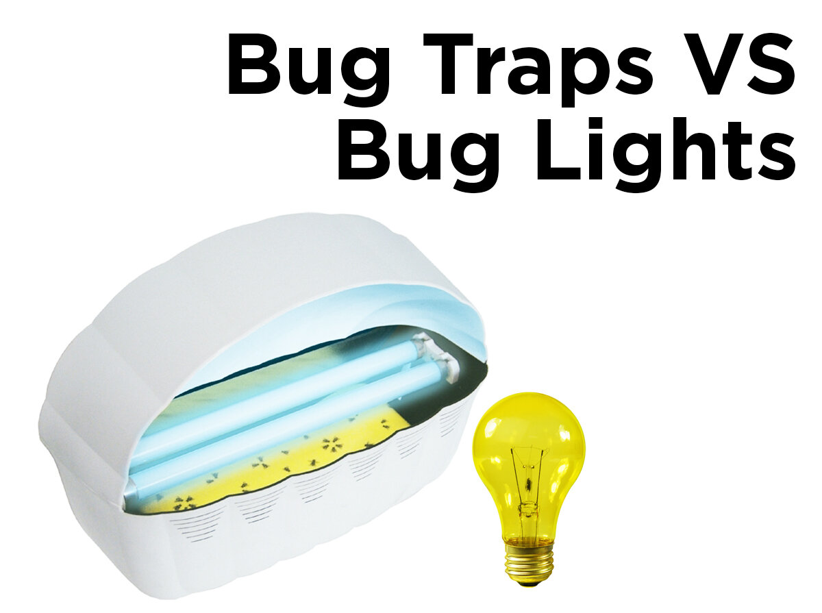 Bug Traps vs. Bug Lights — 1000Bulbs Blog