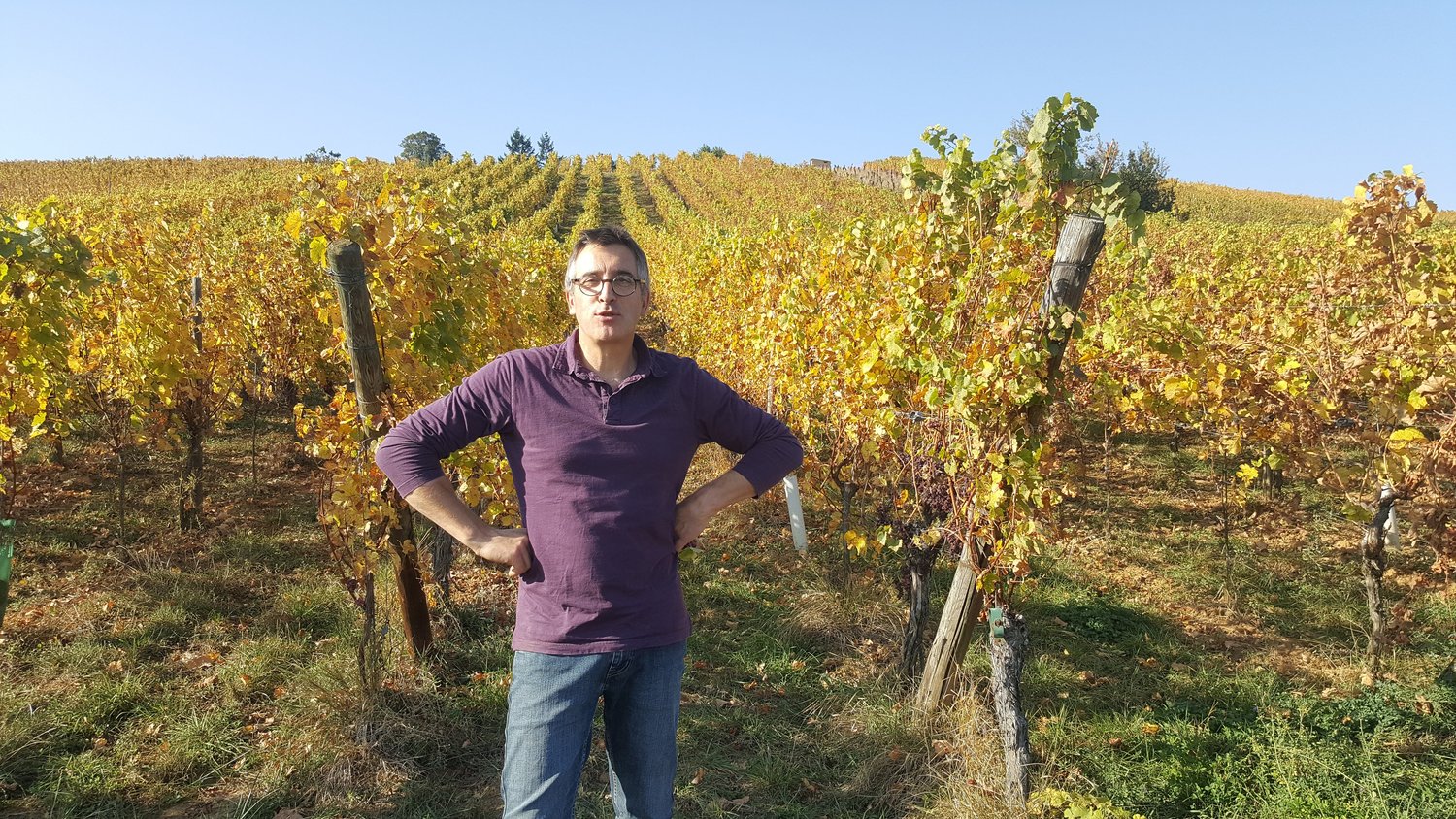 Vins d'Alsace Rietsch (Jean-Pierre Rietsch) — Wines Under the Bonnet