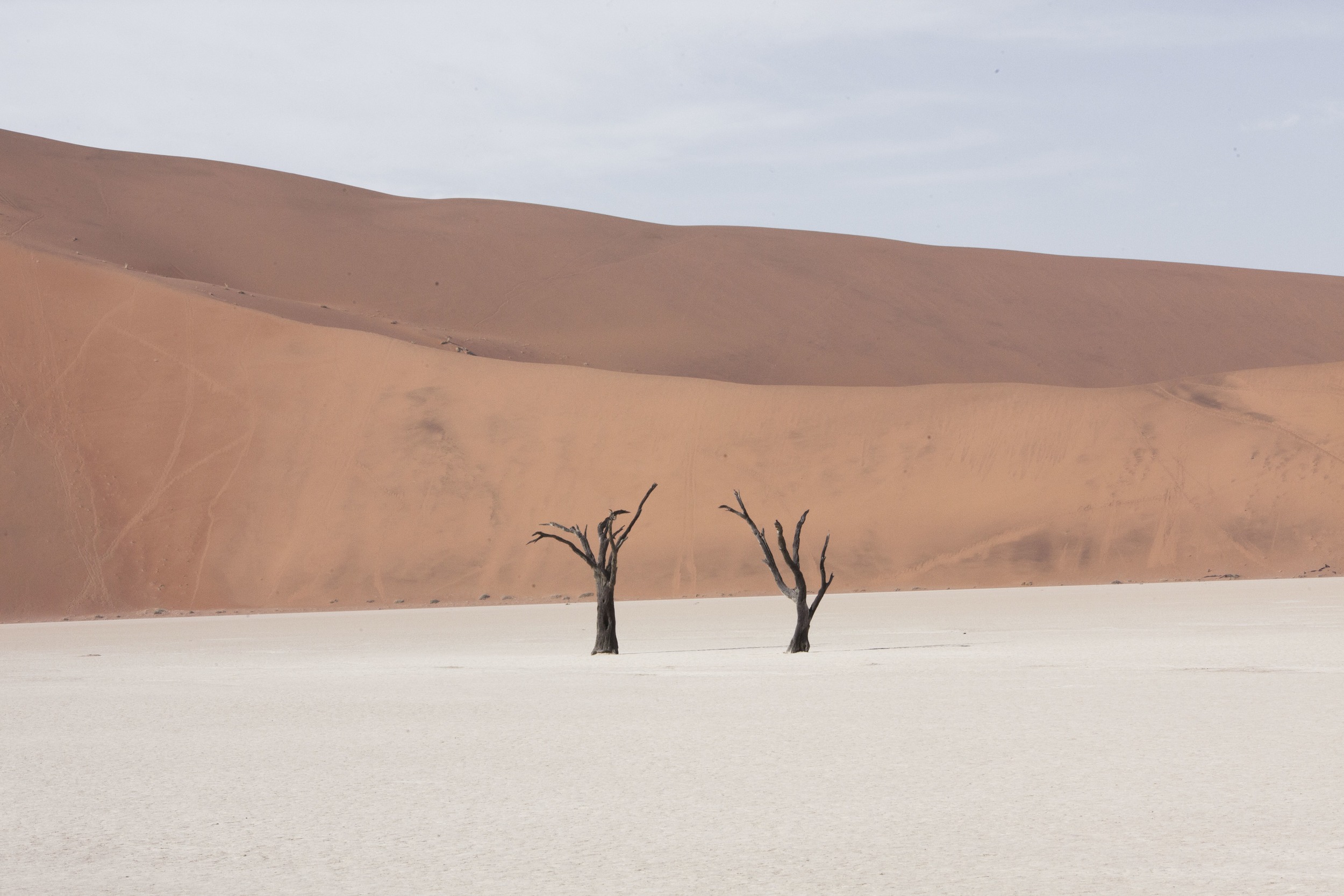 m- Lavigne Death Valley, Namibia, 2015