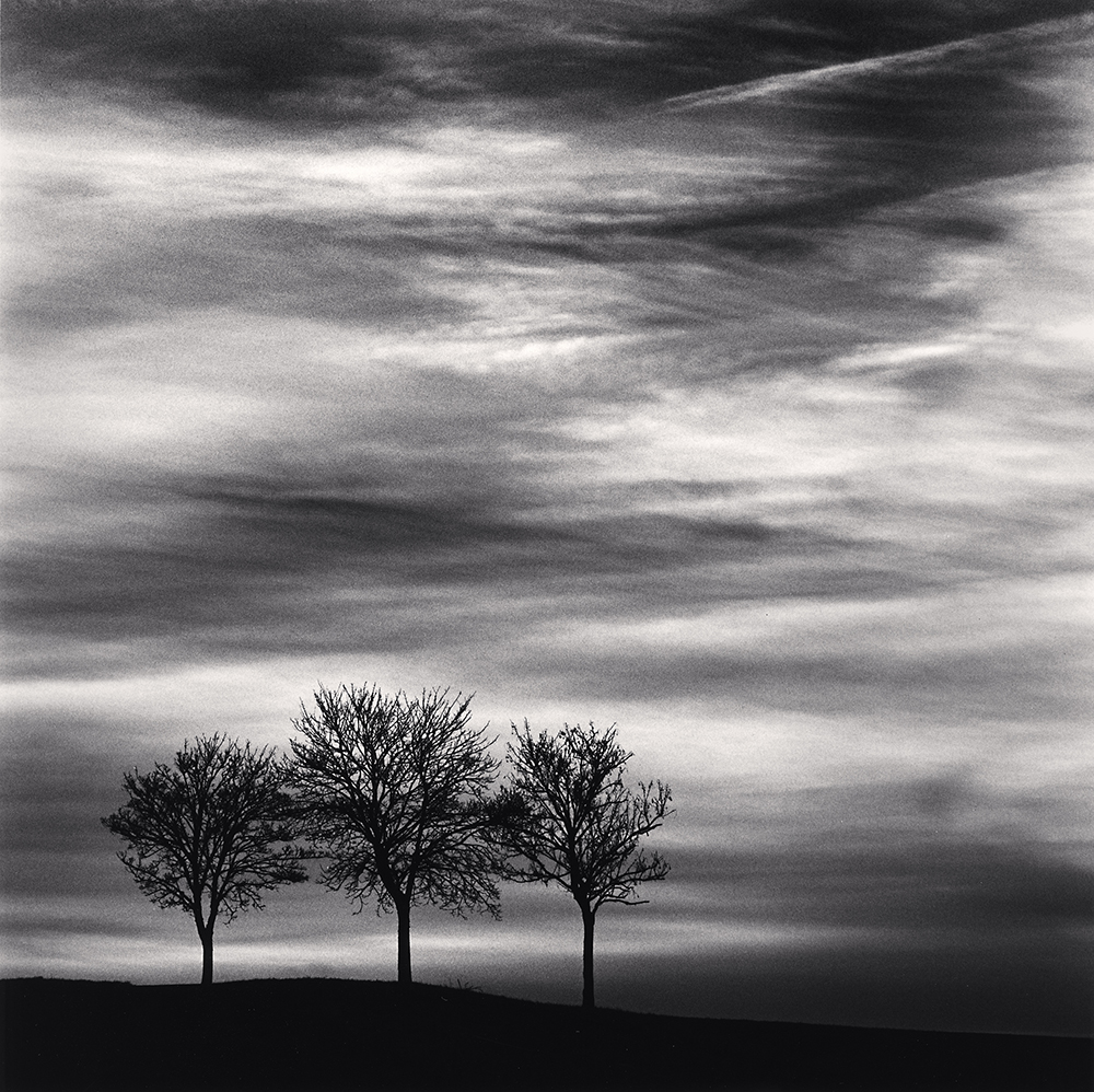 Three Trees at Dusk, Fain les Moutiers, Bourgogne, France. 2013-s
