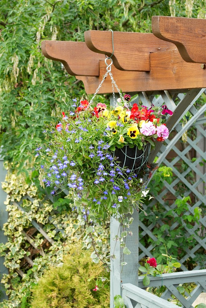 ventilator garen Methode Thinking Outside the Container... Tips for Great Hanging Baskets - Eckert's