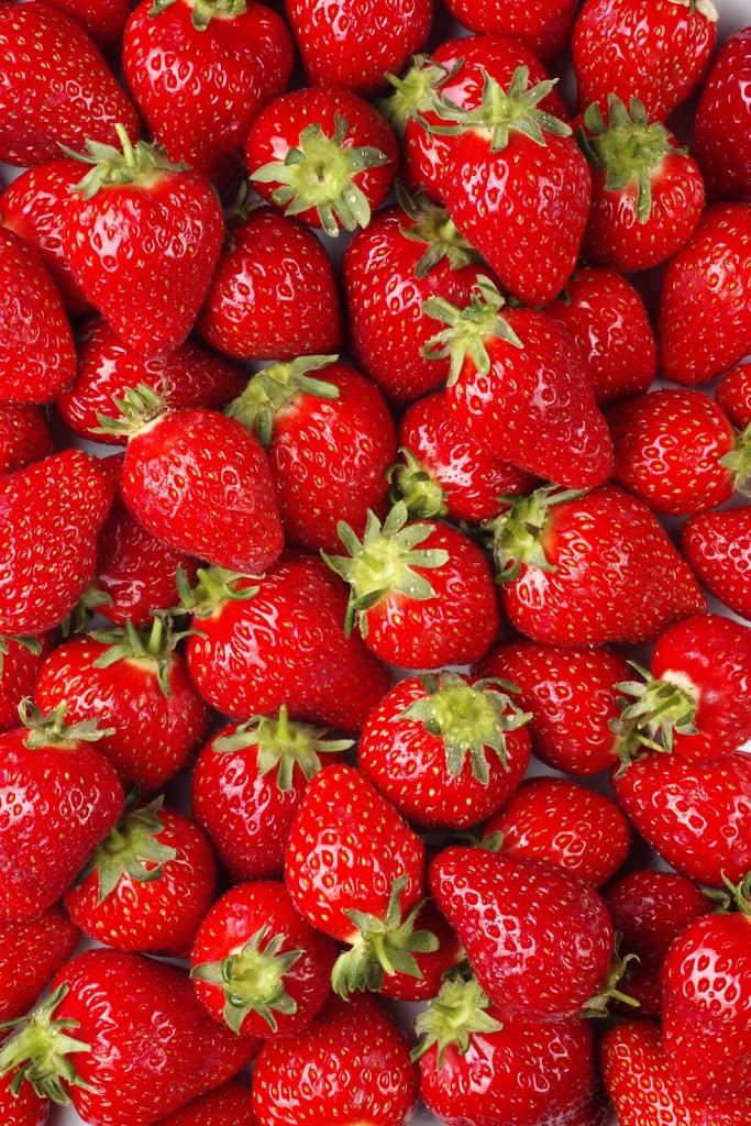 Strawberry Season Is Here Eckert S Family Farms And Seasonal Pick Your Own Crops,Pet Hedgehog Tank