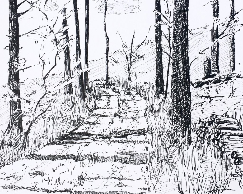 Schandelijk Oorzaak hobby Drawing Landscapes with Pen and Ink - Monday, August 14th 6:30 - 8:30pm —  Petite Palette