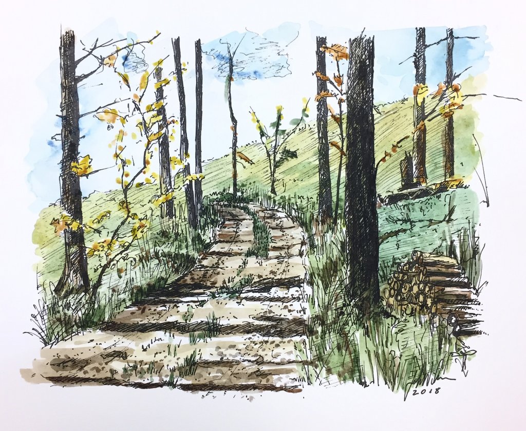 Watercolor and Ink - Tuesday, September 25th 6:30 - 8:30pm — Petite Palette