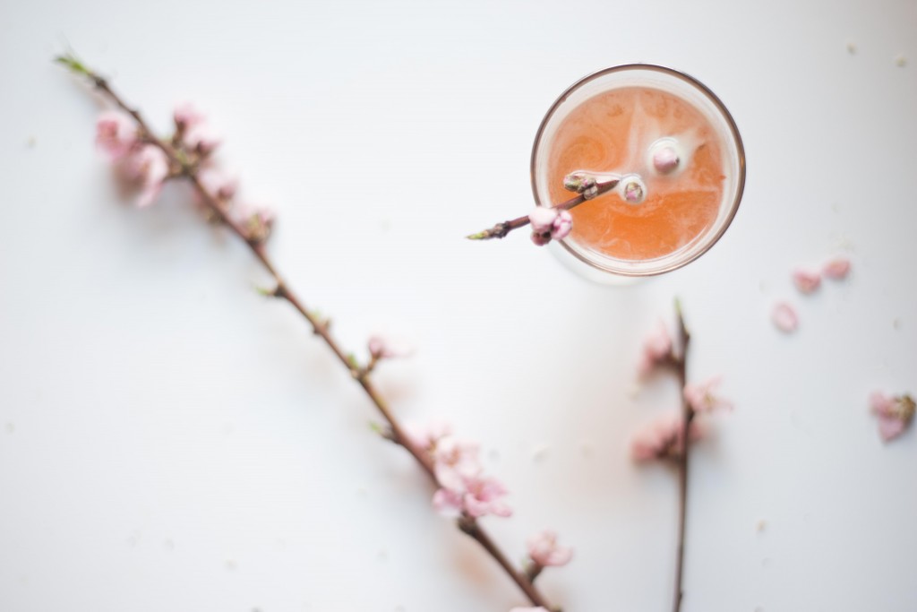 The Sign of Spring cocktail photographed by Amber Breitenberg. 