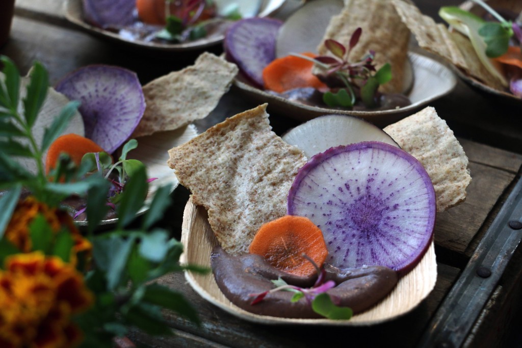 Woodberry Kitchen & Artifact Coffee came down from Baltimore serving a variety of local things including these gorgeous Steadfast Farms black bean hummus with raw vegetable chips and spelt crackers. (Photo by January Jai)