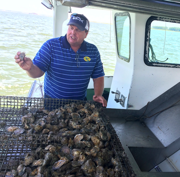 Waterman and oyster farmer, Johnny Shockley.