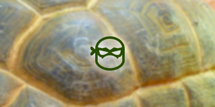 teenage mutant ninja turtle icon