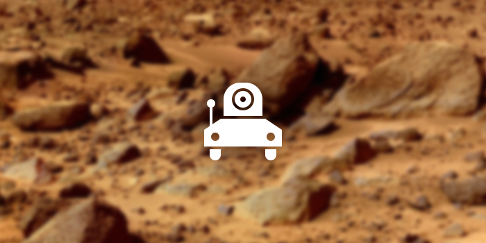 rover icon