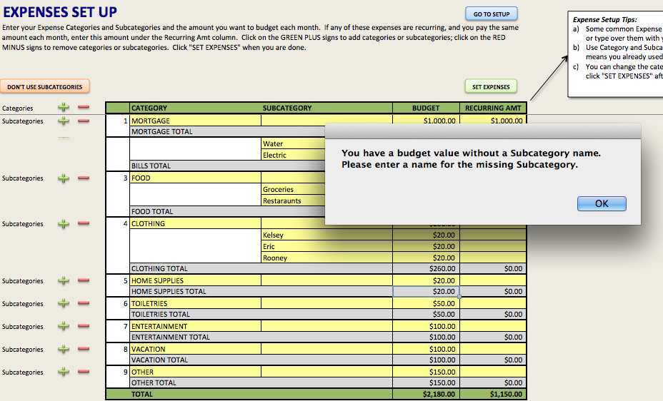 Savvy Spreadsheets Expenses