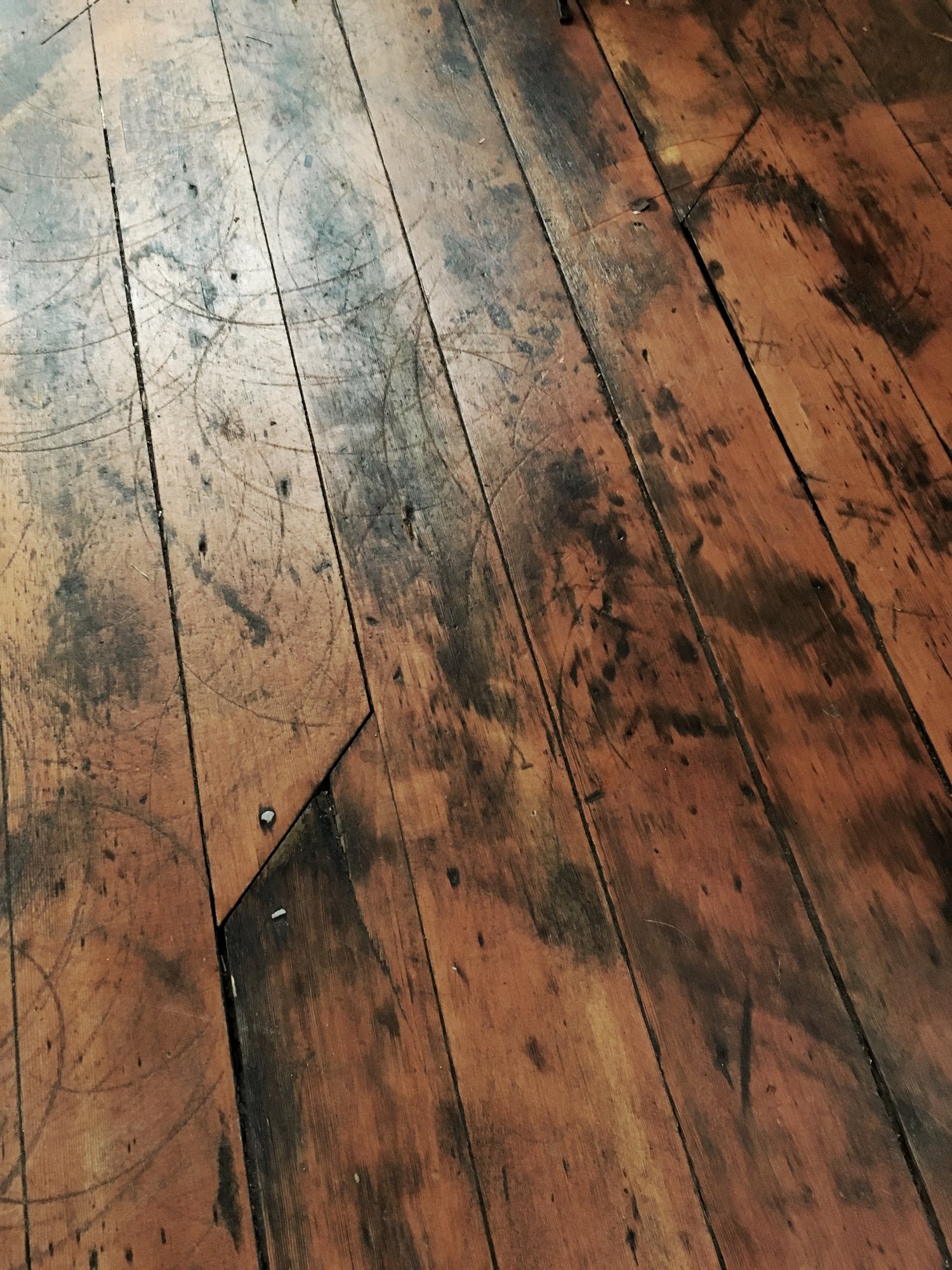 Should I Refinish My Hardwood Floors Find Out How To Tell