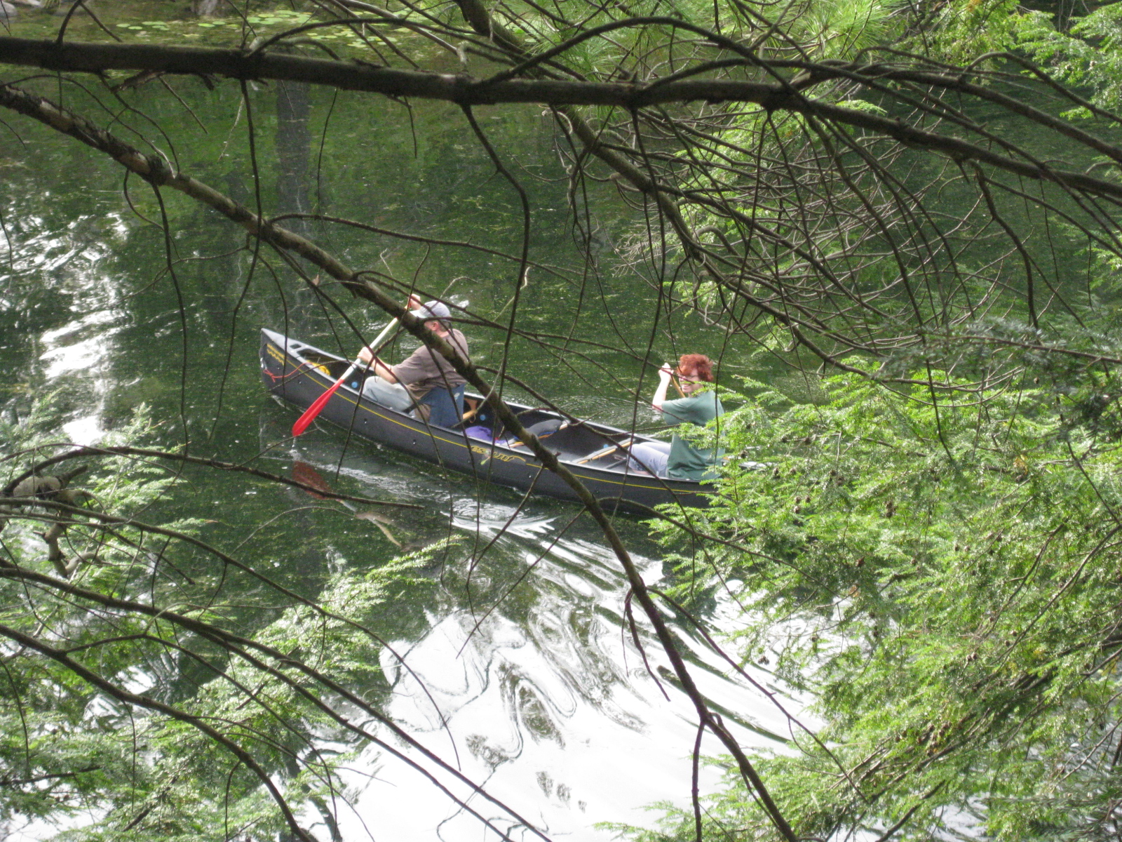 canoeing with my honey, cottage country, Ontario