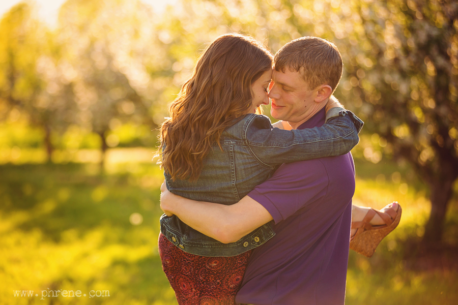 Apple blossom engagement photography at sunset
