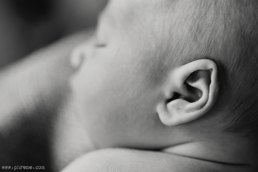 michigan-rustic-newborn-photography07
