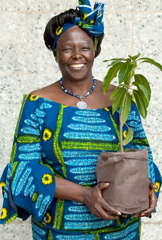 Káº¿t quáº£ hÃ¬nh áº£nh cho Wangari Maathai (1940-2011)