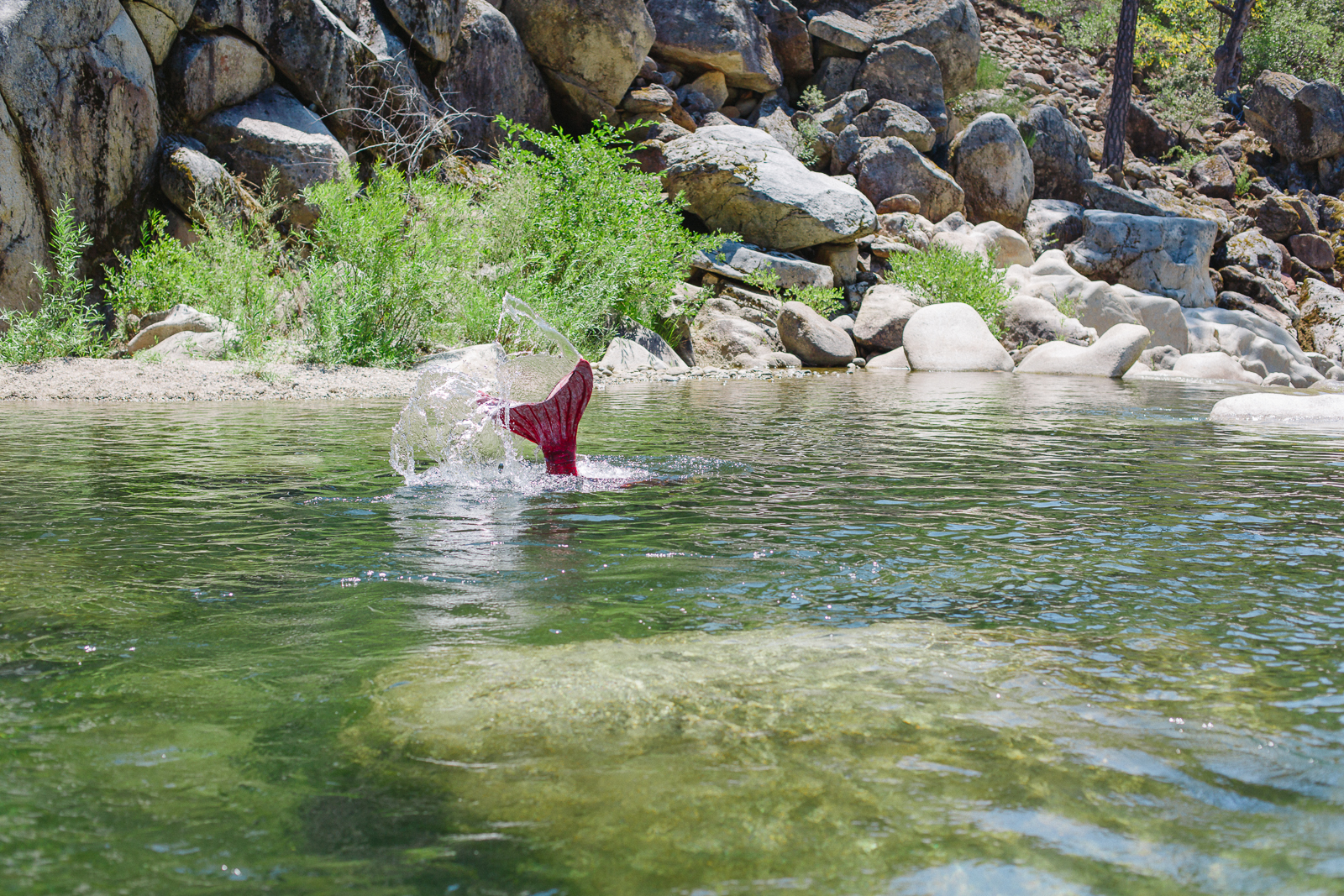 mermaid swimming in the yuba river