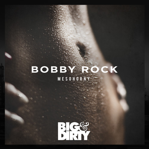 Mesohorny Bobby Rock People Powered Playlists By Musicto