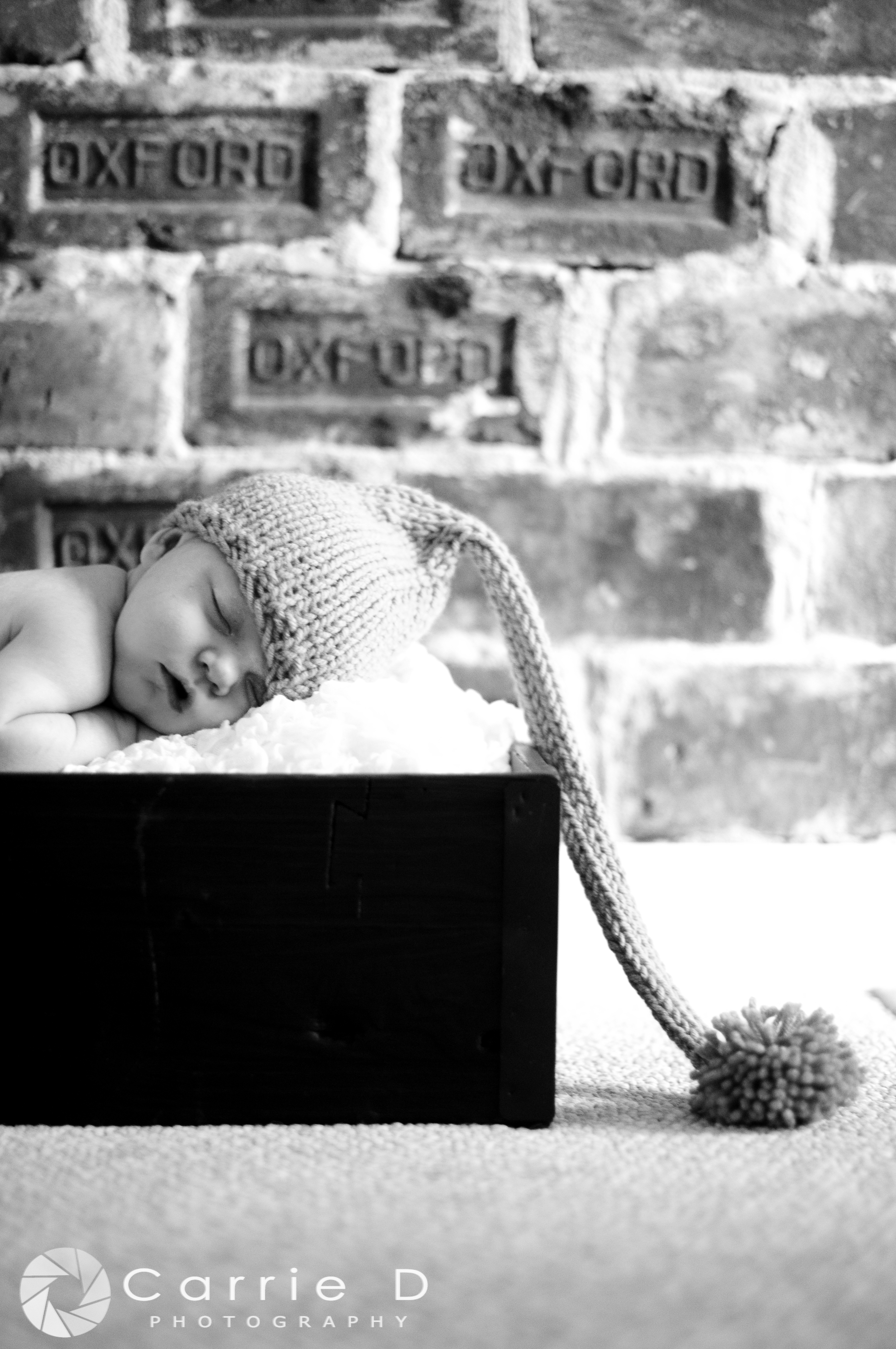 Manchester Newborn Photographer - Manchester Family Photographer - Manchester Child Photographer - Natural Light Newborn Photography - Maryland Natural Light Newborn Photographer - Natural Light Photography