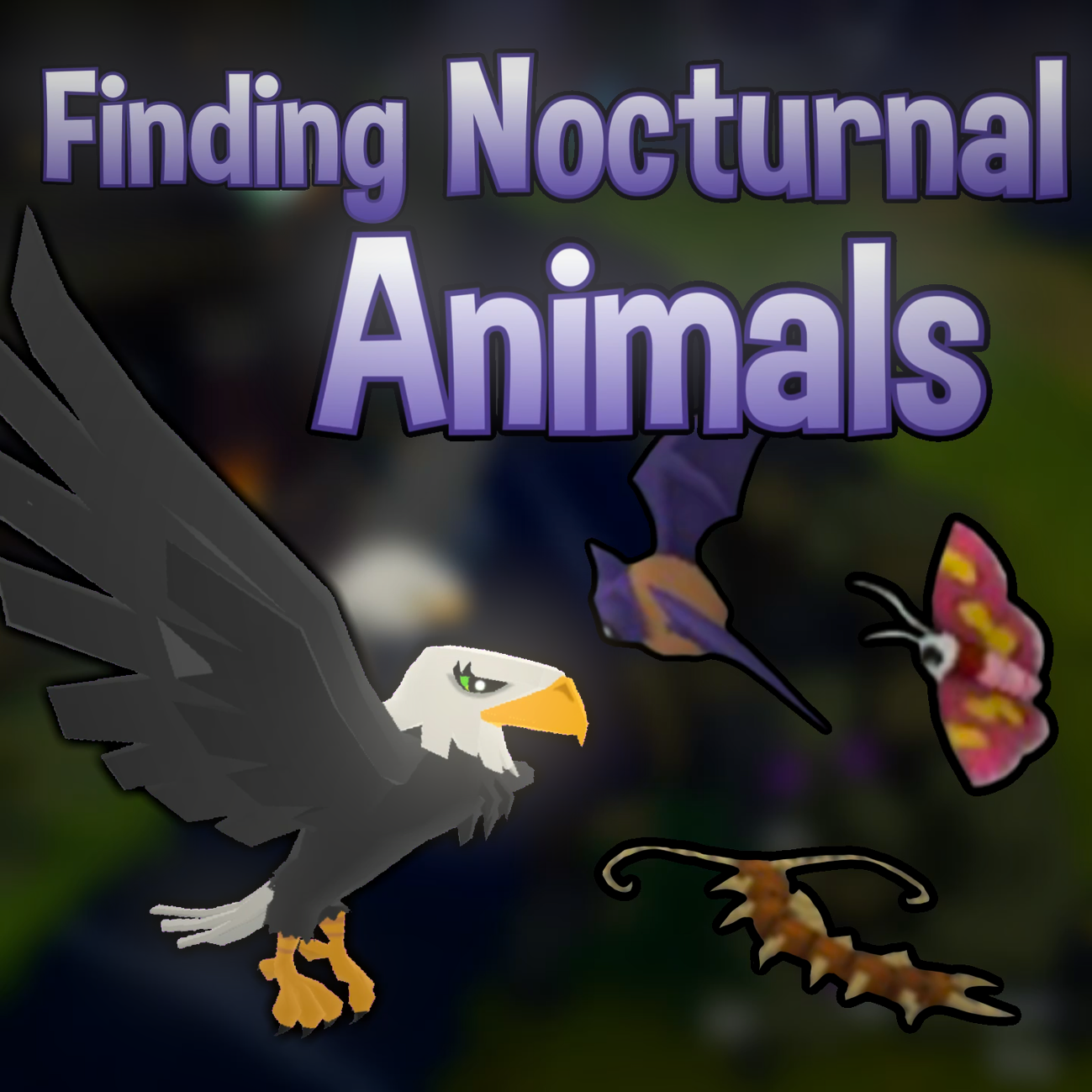 Finding Nocturnal Animals — Animal Jam Archives