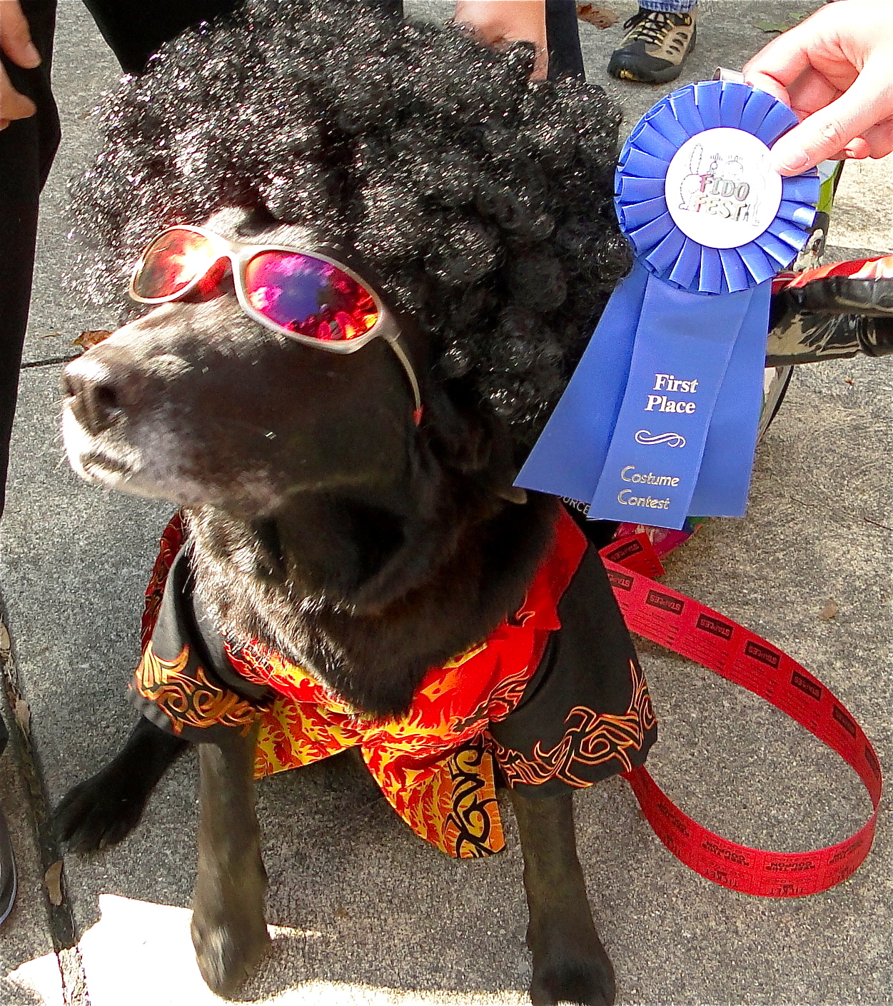 Fido-Fest-dog-costume-winner