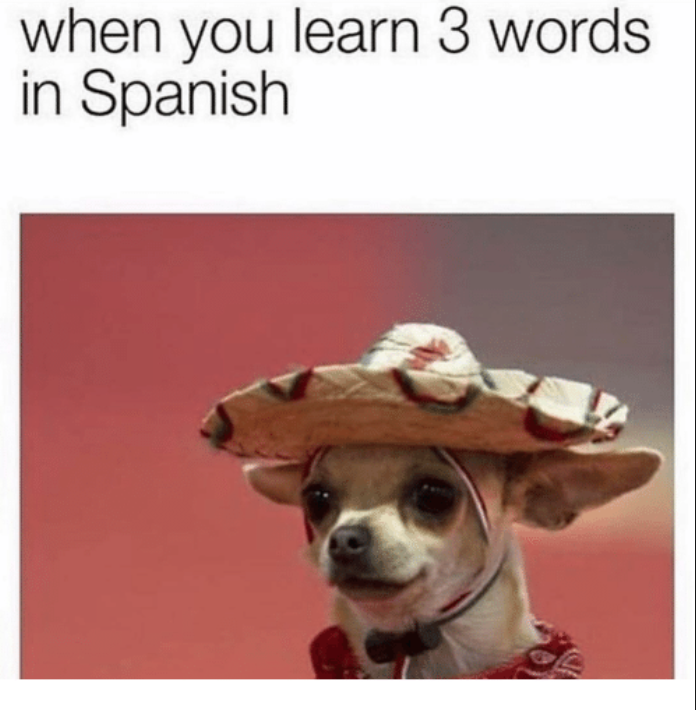 How to learn Spanish using funny memes — Spanish Classes ...