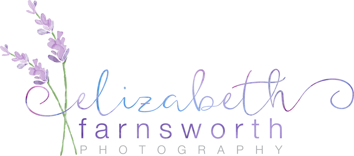 Elizabeth Farnsworth Photography