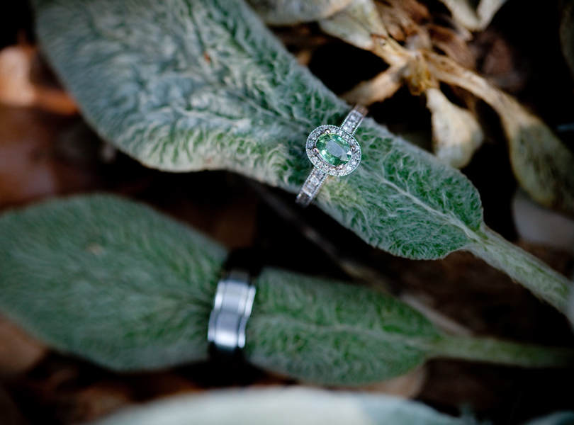 ring picture, nature, skype elopement
