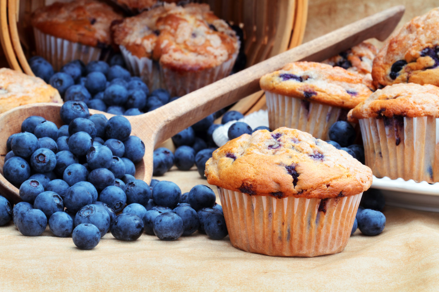 My Favorite Blueberry Muffins! — SallyClarkson.com