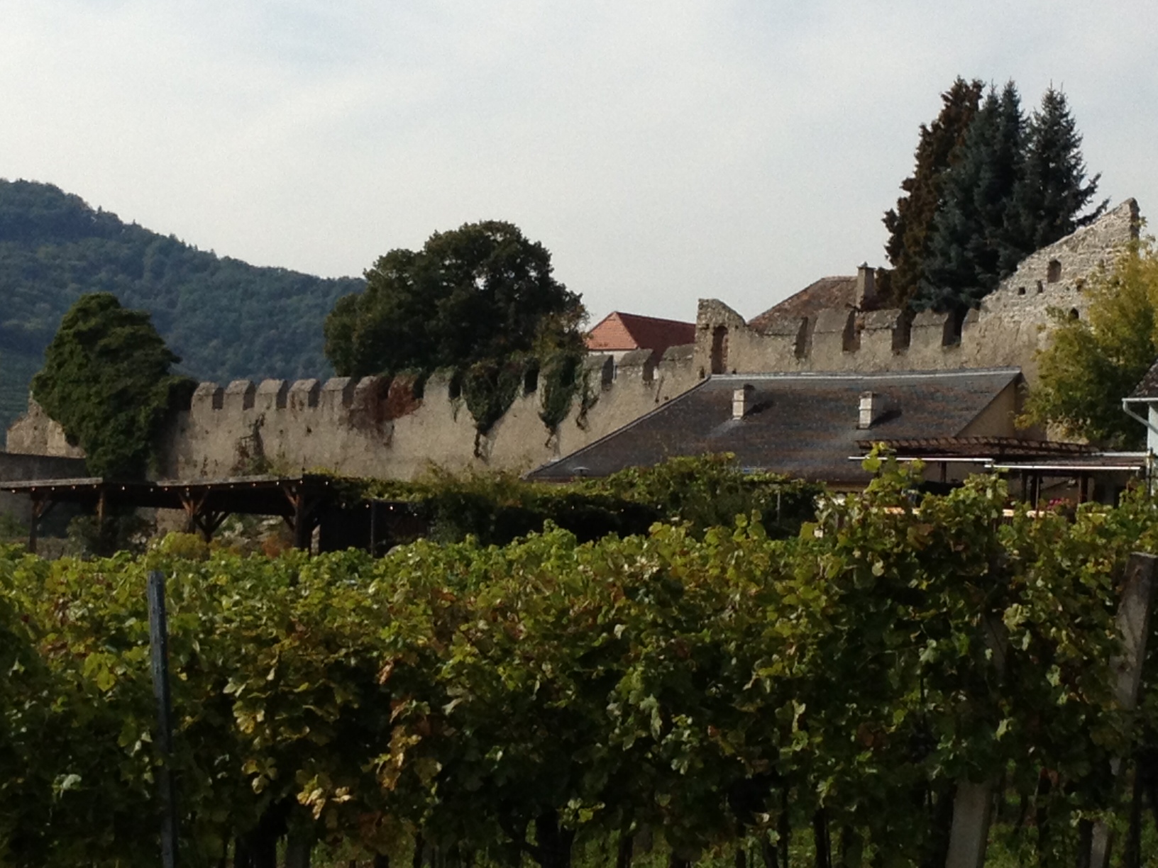 Vineyards and wall Durnstein