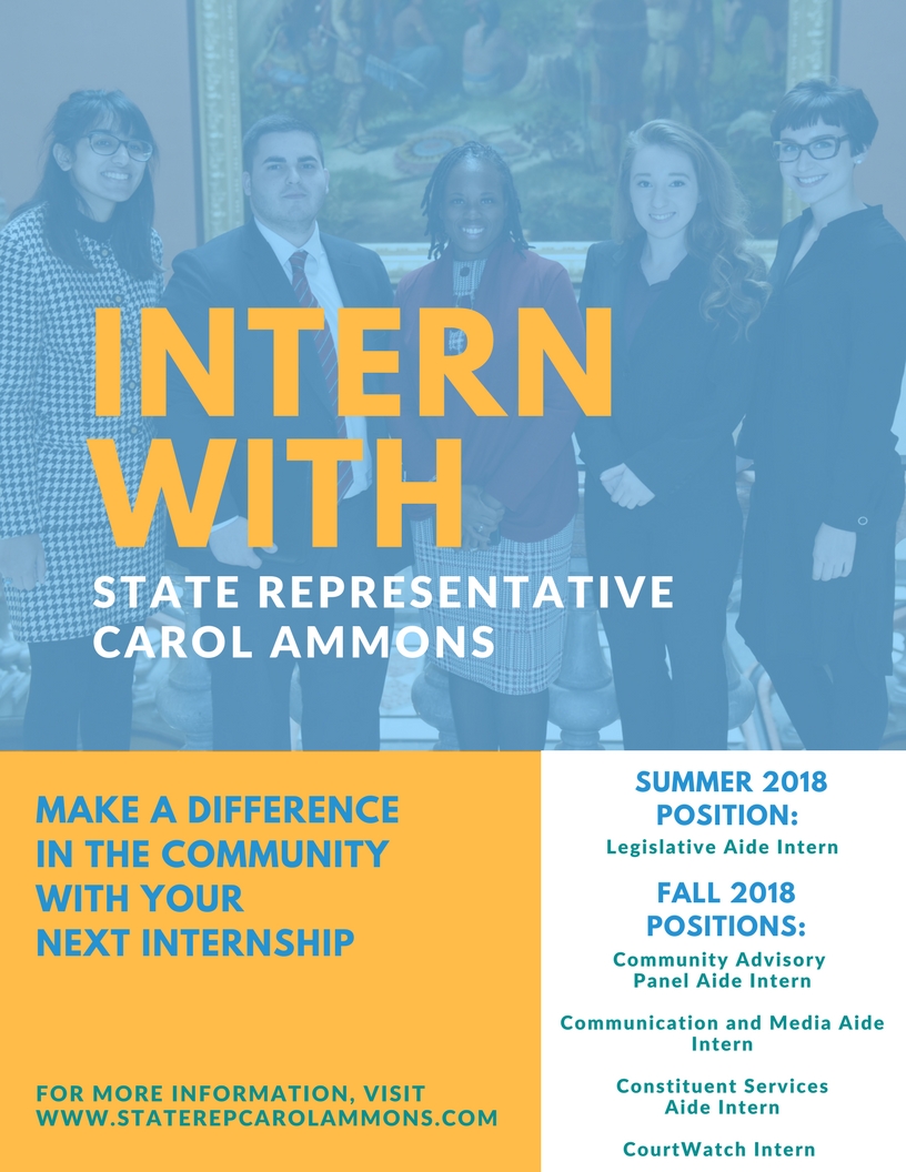 Summer and Fall 2018 Internship Opportunities — State Representative