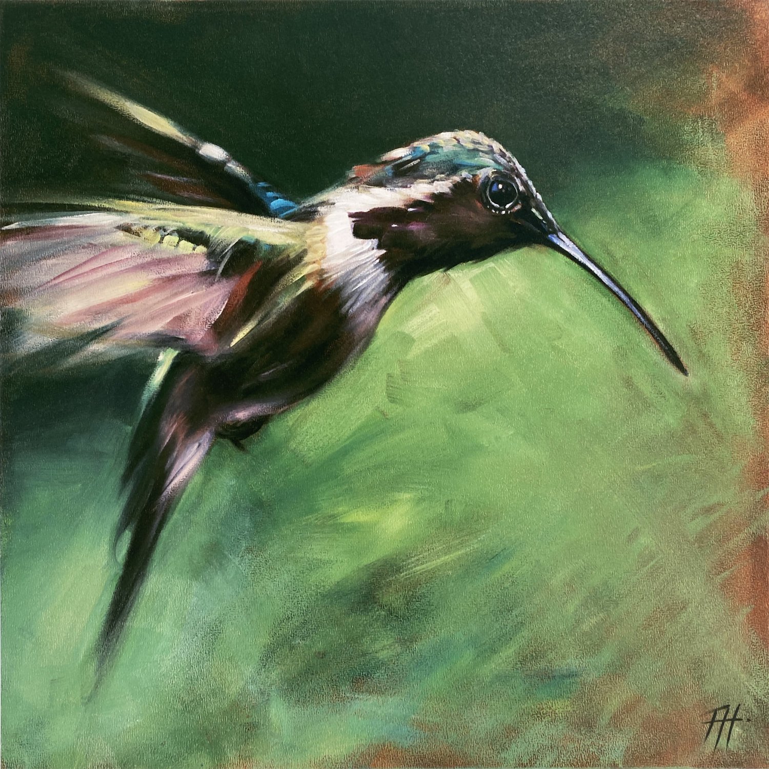 Hummingbird fine art prints by California wildlife & animal artist, Aimée  Rolin Hoover — Aimée Rolin Hoover