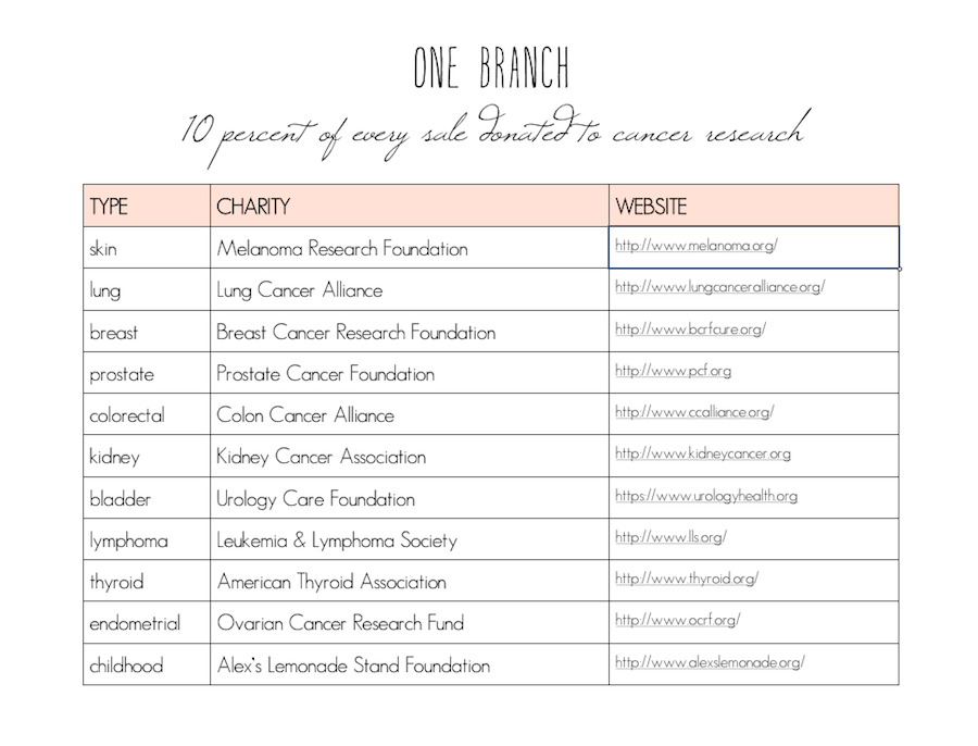 one branch postcard subscription service by sweet eventide cancer research funding