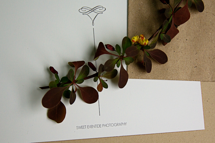 one branch cancer support postcard subscription by sweet eventide photography