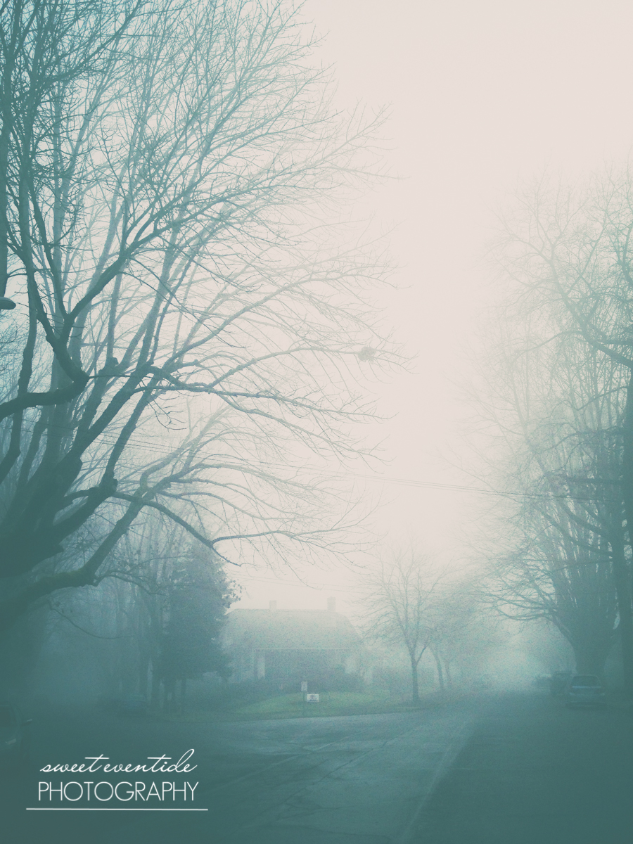 foggy winter morning pacific northwest jessica nichols