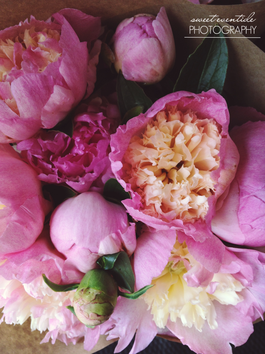 Espe Floral Portland Oregon market peonies flowers photography by Jessica Nichols Sweet Eventide