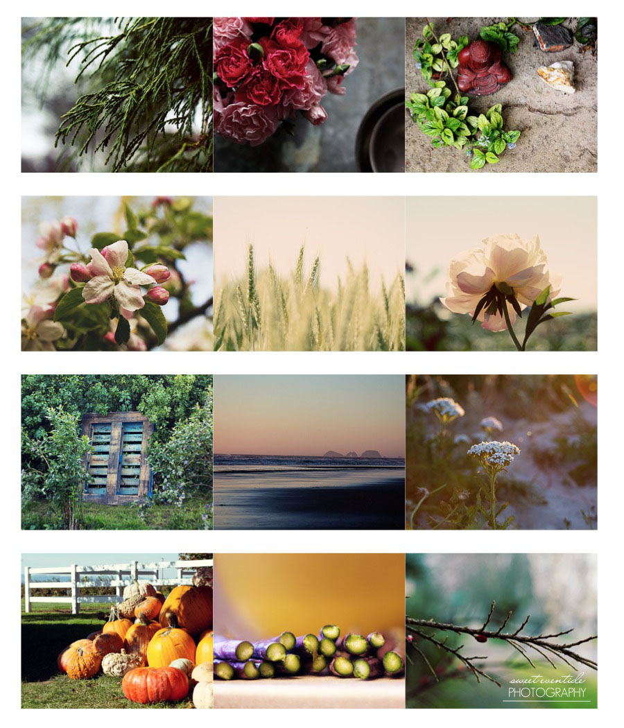 12 Nature Photographs by Sweet Eventide for 2014 Calendar