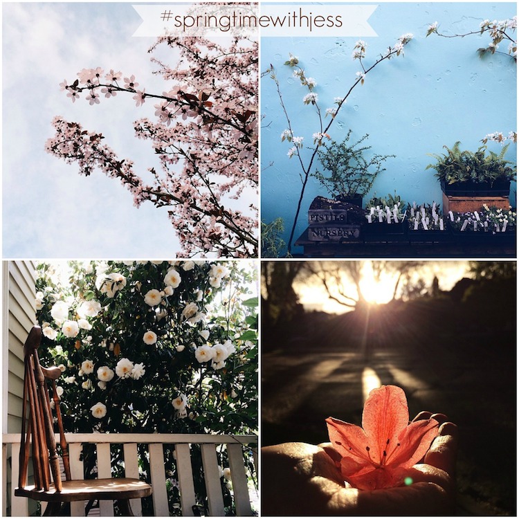spring Instagram highlights from Sweet Eventide Photography