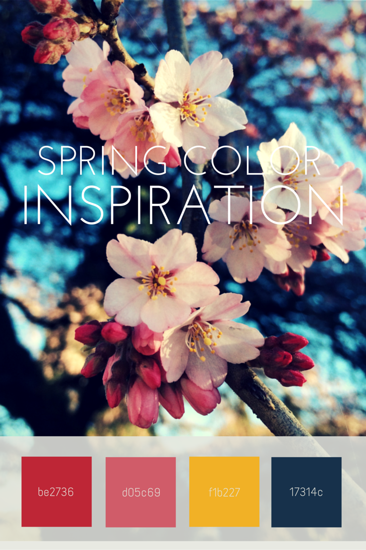 plum blossoms photography spring color inspiration palette color swatches
