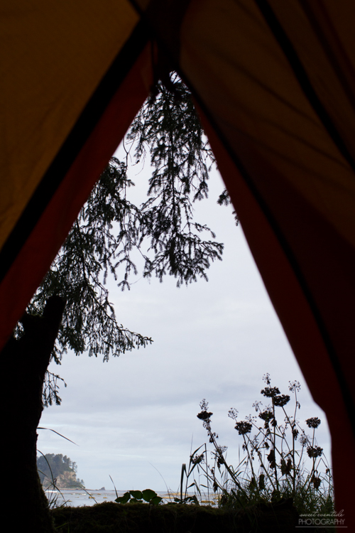 Tent View at Cape Alava | photo by Jessica Nichols, Sweet Eventide Photography
