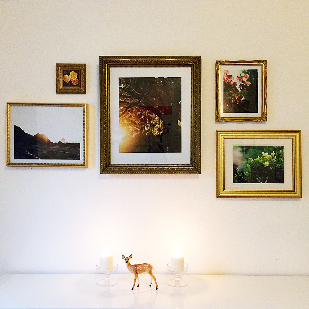 gold frame gallery wall flower and nature photographs